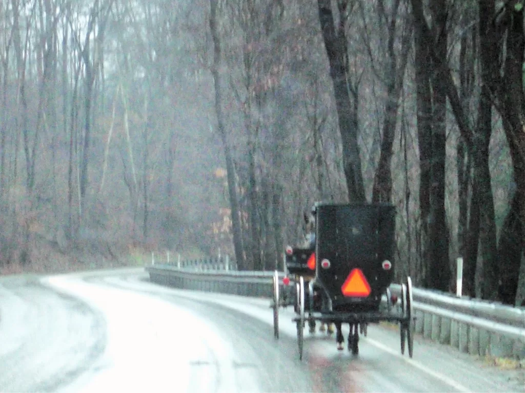 Picture of a horse and buggy for Things I Learned About The Amish Culture.