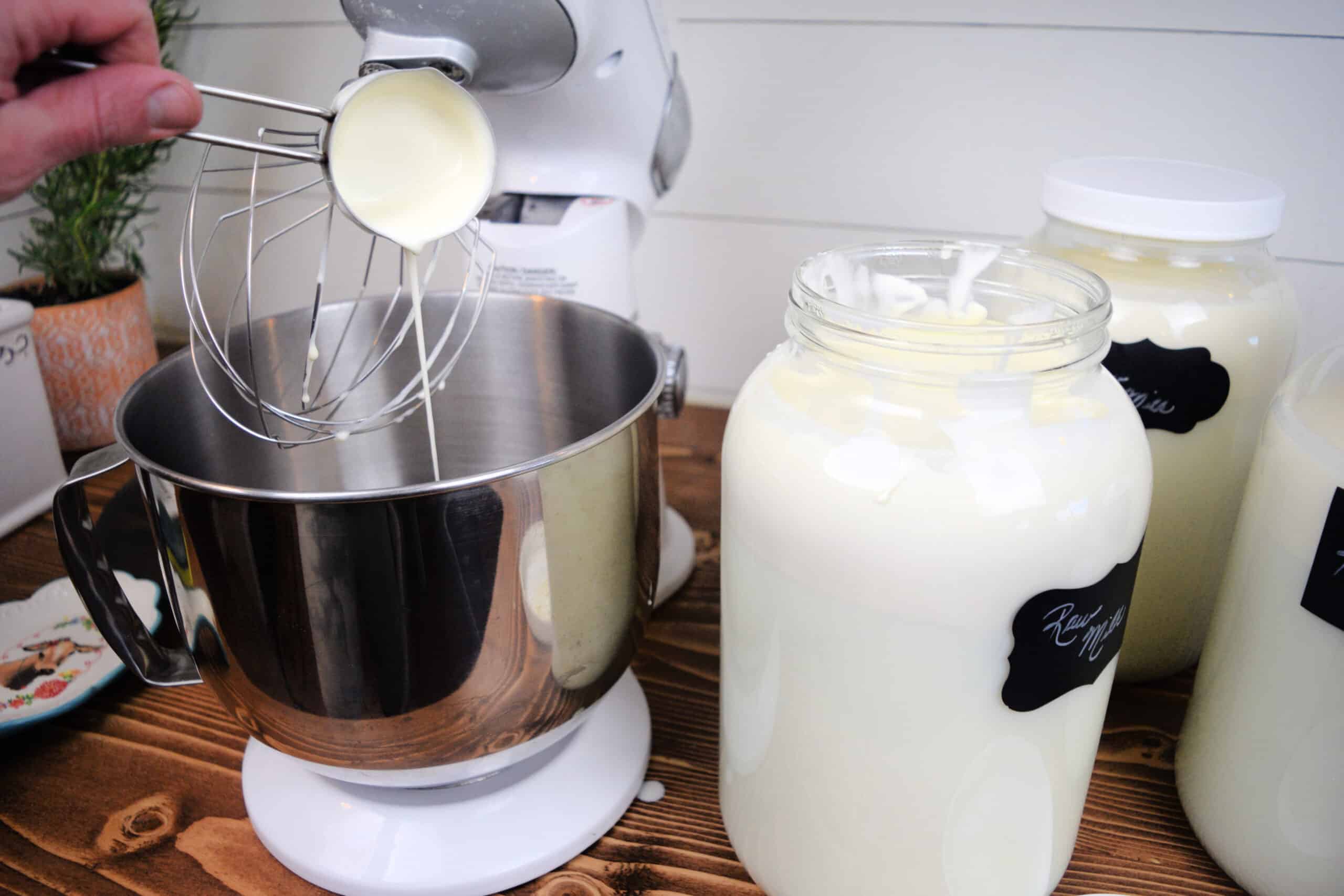 Close up of homemade raw cream being poured into a stand mixer bowl, with large glass jars of freshly skimmed cream on a rustic wooden countertop. A hand holds a measuring cup as the cream drips onto the whisk attachment. Bright, clean kitchen setting with an old fashioned, homestead feel, perfect for a post on how to make homemade butter from raw milk.