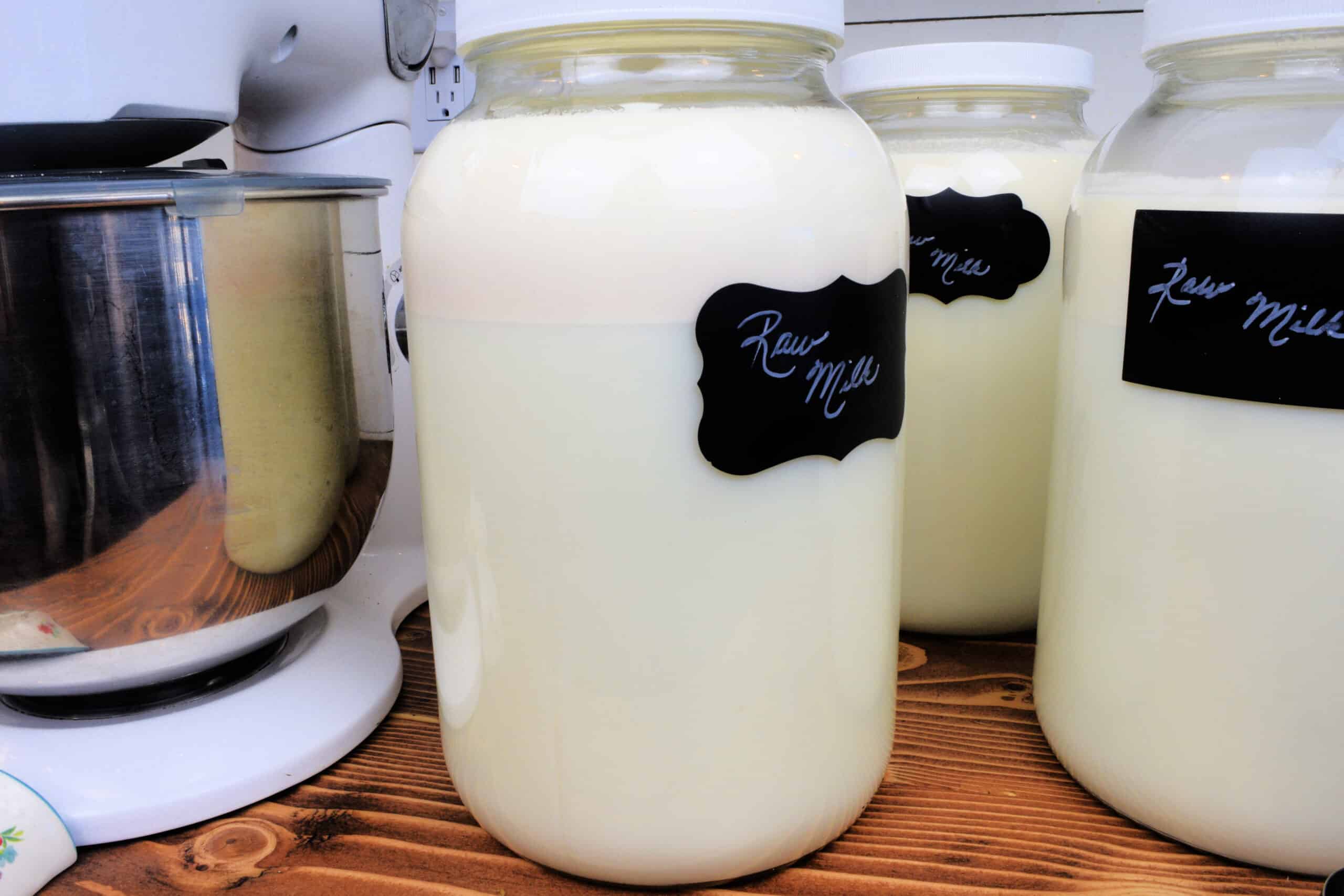 Kitchen setup with raw milk, measuring cup, and stand mixer ready to make homemade butter.