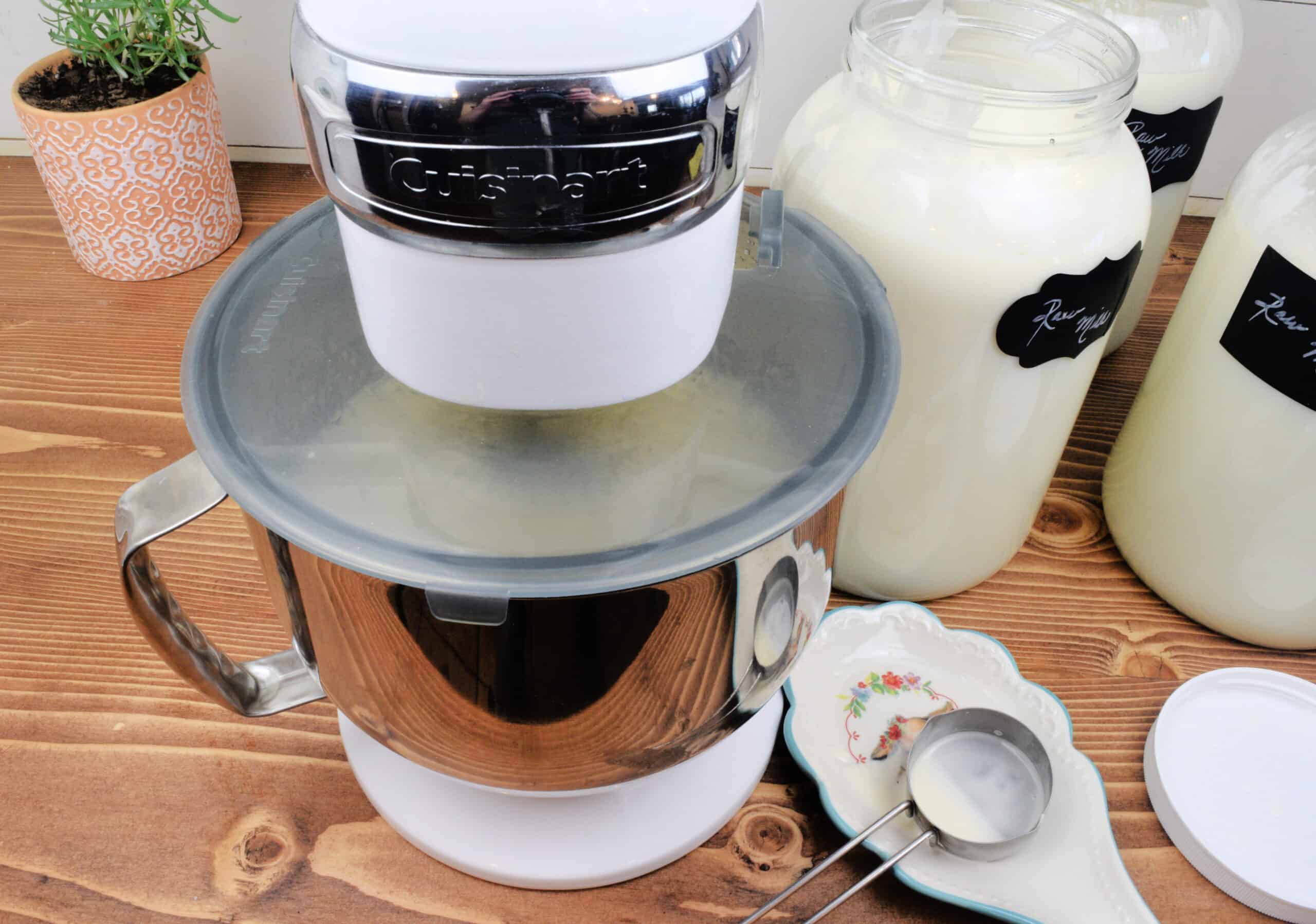 Overhead view of a stand mixer covered with a splatter guard as fresh raw cream begins to churn inside the stainless steel bowl. Jars of raw cream sit nearby on a rustic wooden countertop along with a small dish holding metal measuring spoons. Bright, clean homestead kitchen scene for a homemade butter from raw milk tutorial.