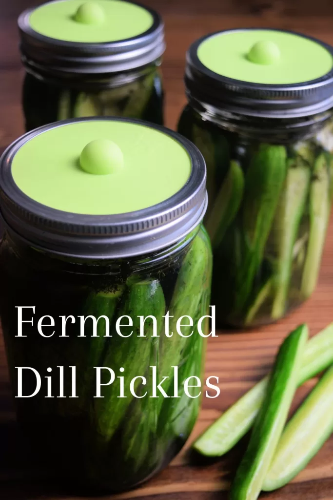 Sliced fermented pickles with garlic and dill in a mason jar next to cucumbers and garlic with a fermentation weight and green burping lid.