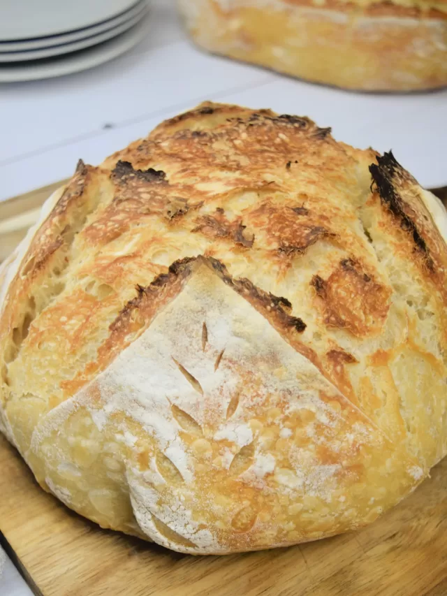 Easy No-Knead Sourdough Bread Recipe for Beginner’s
