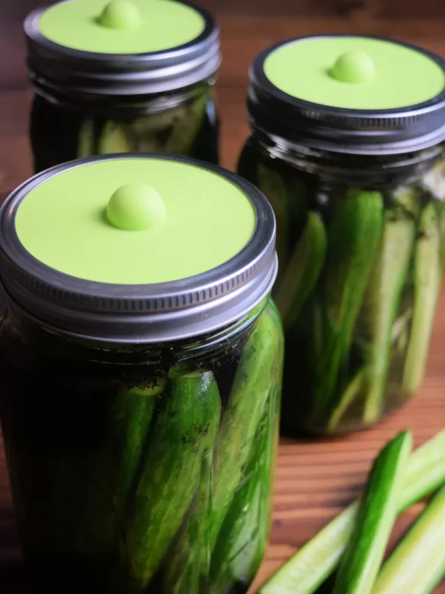 How to Make Easy Homemade Fermented Dill Pickles