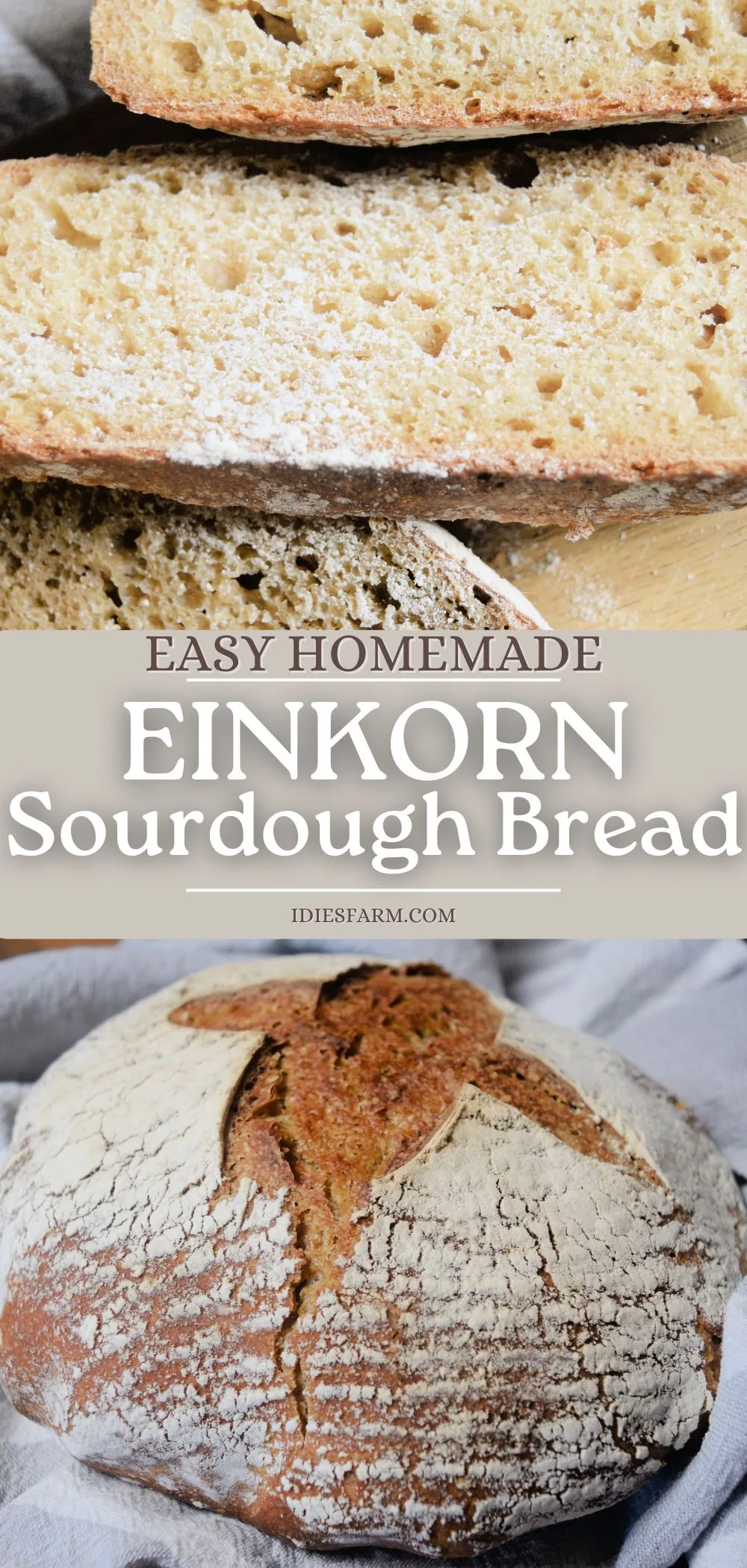 easy-recipe-for-how-to-make-einkorn-sourdough-bread-idie-s-farm