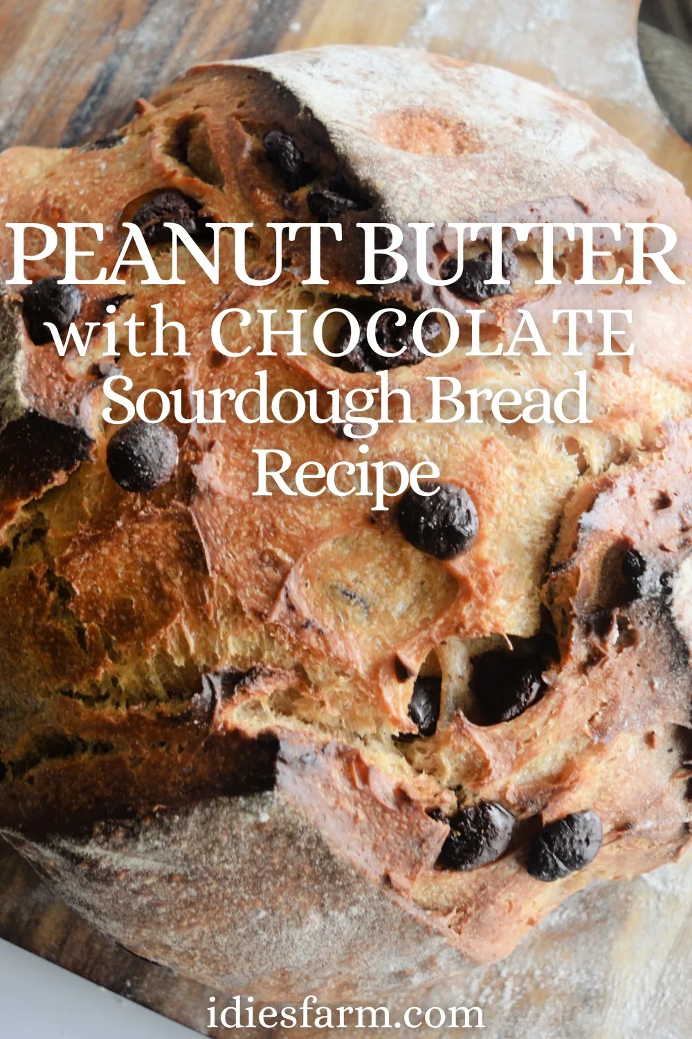 peanut-butter-with-chocolate-sourdough-bread-recipe-idie-s-farm