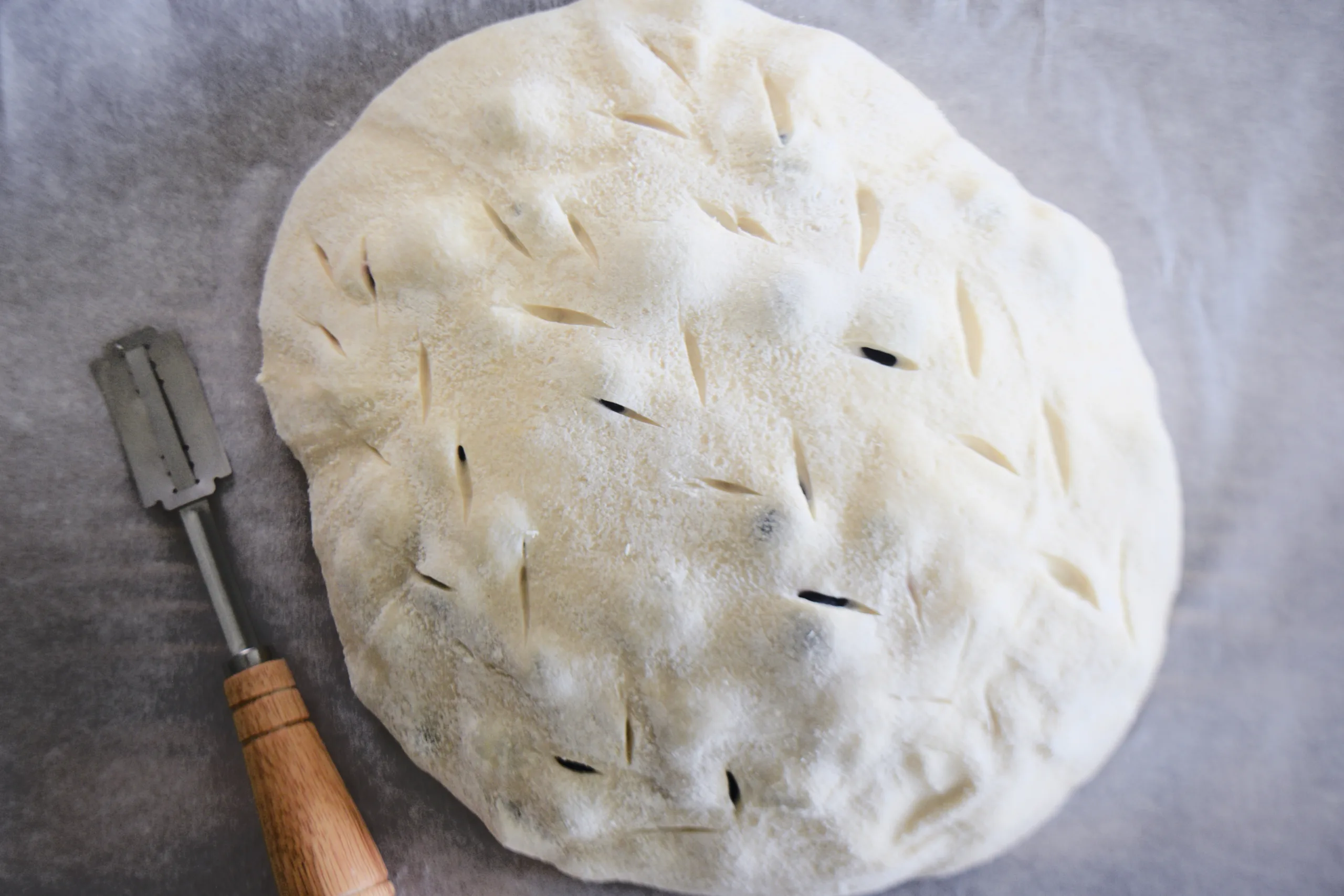 Unbaked lemon blueberry sourdough loaf scored on parchment paper before baking.