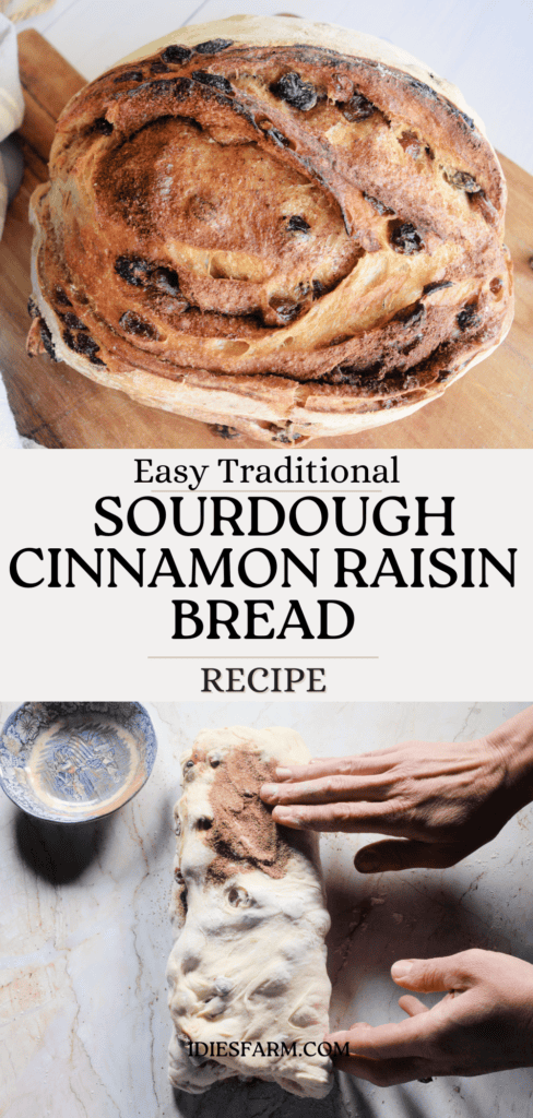 Freshly baked bread for The Best Cinnamon Raisin Sweet Sourdough Bread Recipe.