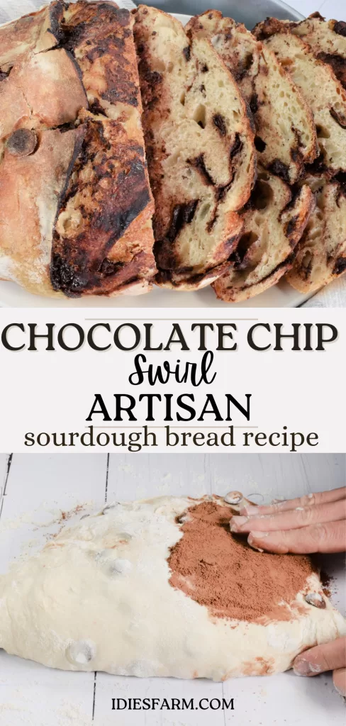 Adding the filling to sourdough for Chocolate Chip Swirl Artisan Sourdough Bread Recipe.