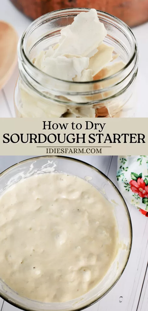 How to Make Dried Sourdough Starter From Scratch