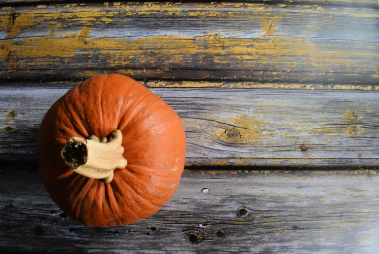 How to Roast a Whole Pumpkin to Make Pumpkin Purée