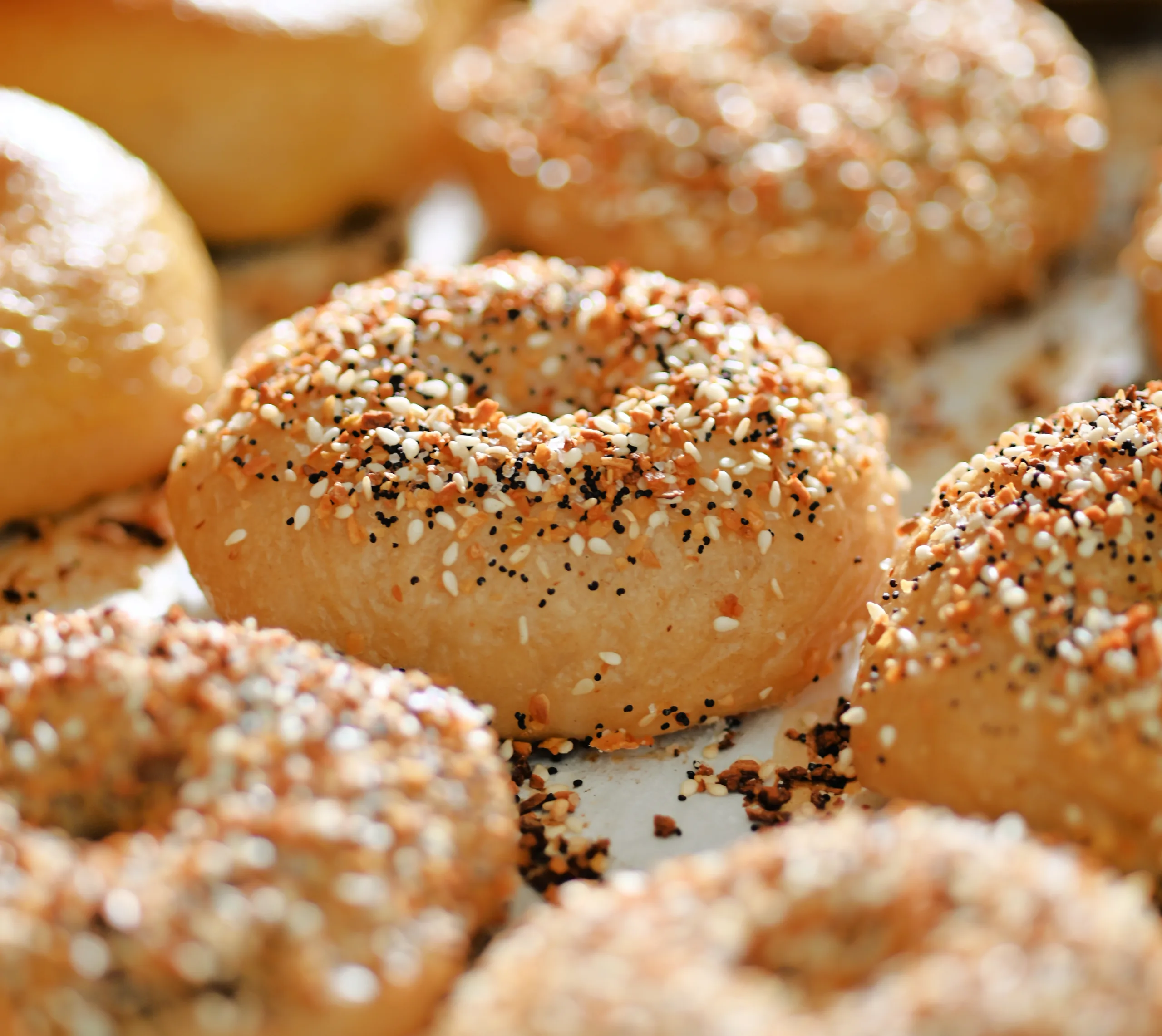 Just baked sourdough bagels for Easy Overnight Homemade Sourdough Bagels Recipe.