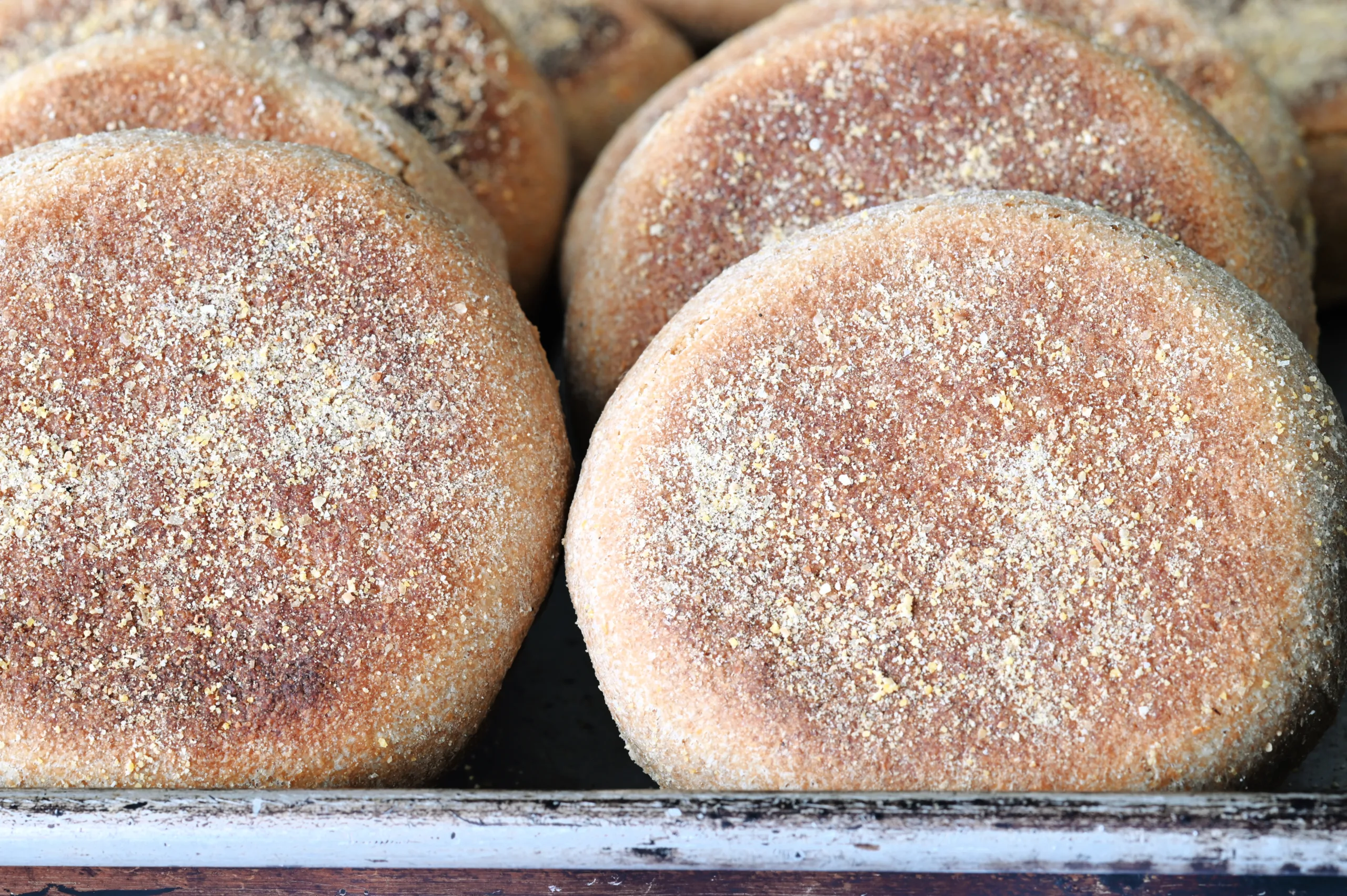 Just cooked English muffins for Homemade Sourdough Whole Wheat English Muffins.