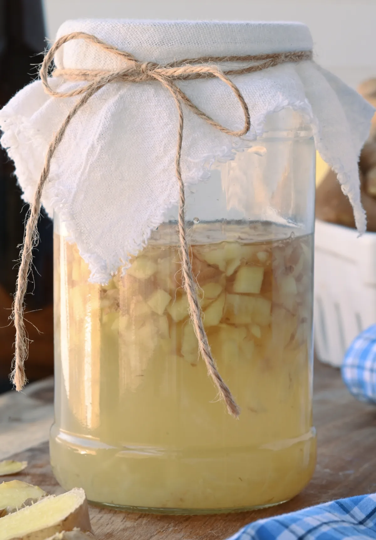 Glass jar of homemade fermented ginger bug on a wooden surface, covered with a cloth and twine. The mixture contains chopped ginger and sugar water, actively fermenting to create a natural probiotic starter culture for homemade sodas.