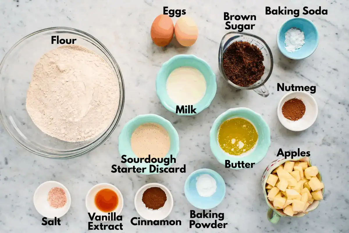 Overhead shot of labeled ingredients for sourdough discard apple cinnamon muffins including flour, brown sugar, cinnamon, nutmeg, apples, and sourdough starter discard on a marble countertop.