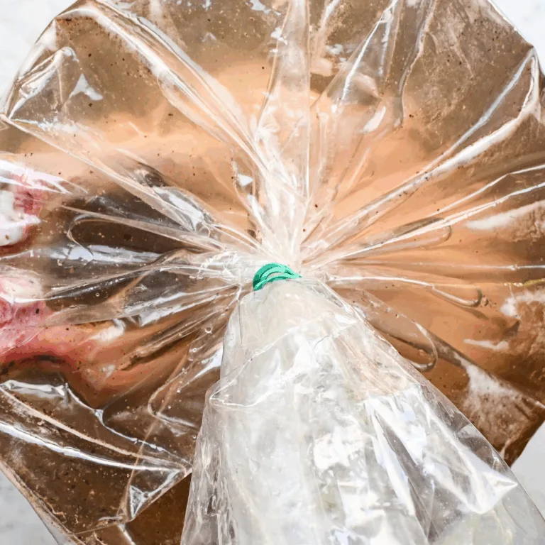 Whole raw turkey soaking in homemade wet brine with garlic and pepper
