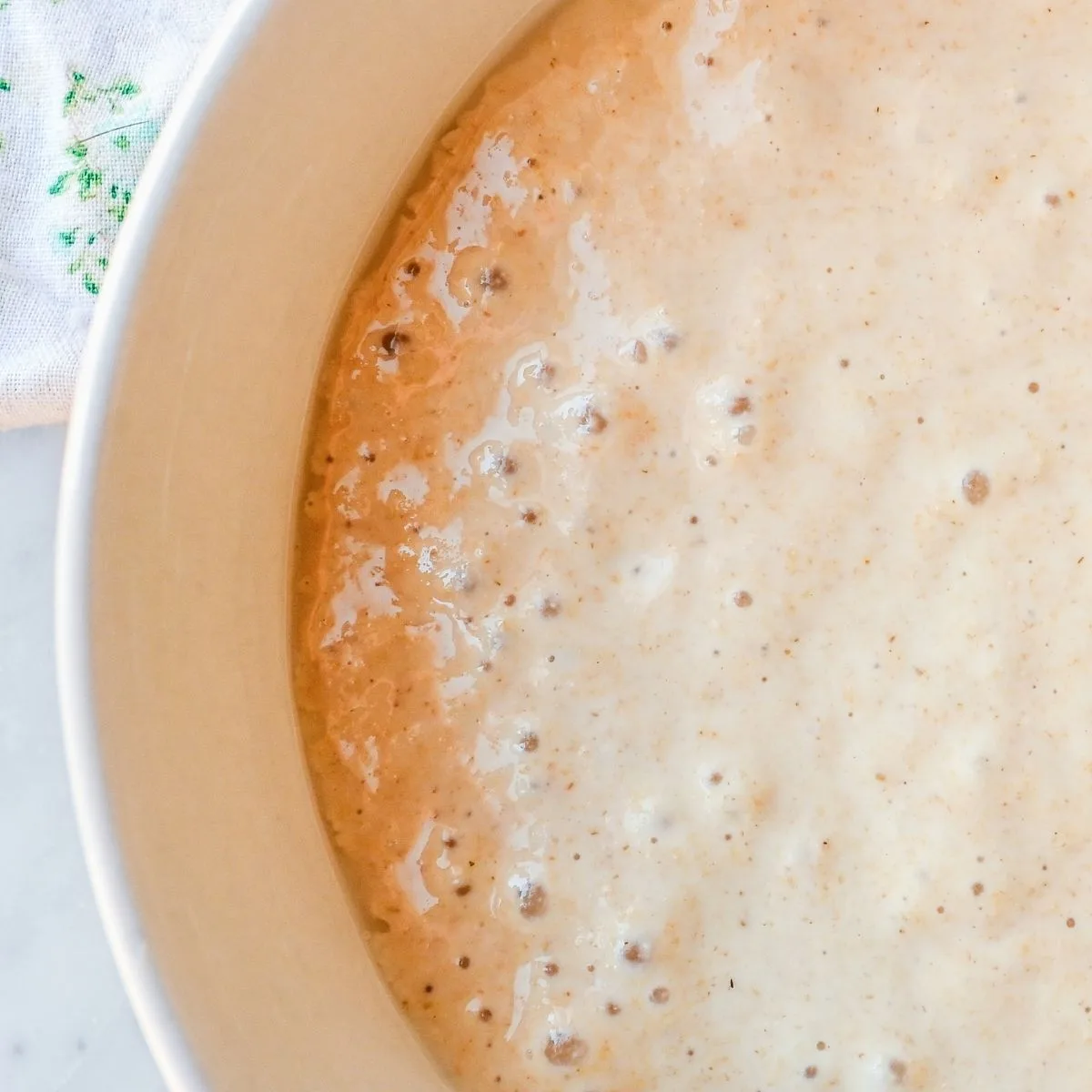 Close-up view of a bubbly sourdough starter fed with whole wheat or freshly milled flour in a cream-colored bowl on a marble countertop.