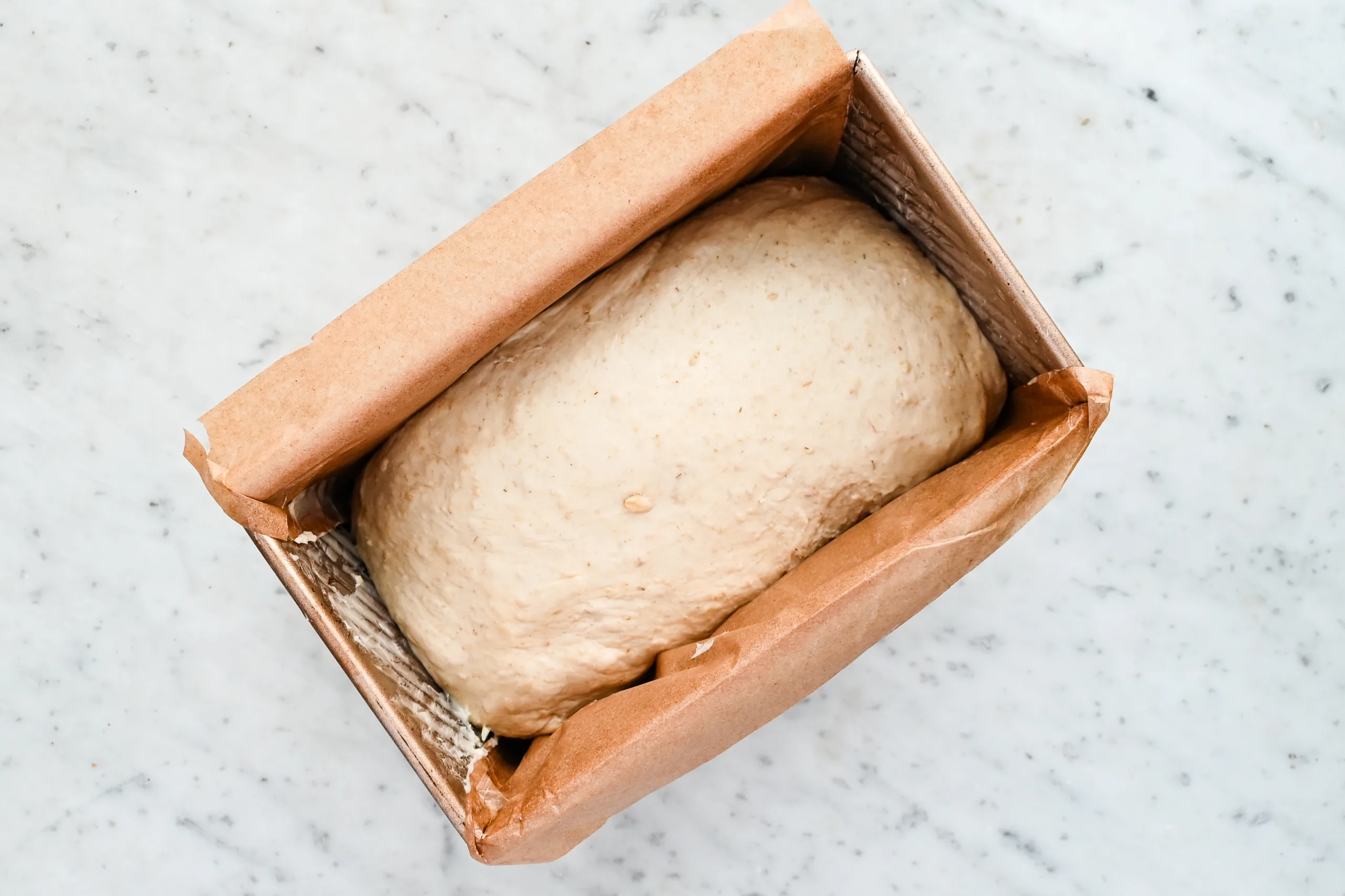 Shaped sourdough oat sandwich loaf placed in a parchment-lined loaf pan before its second rise.