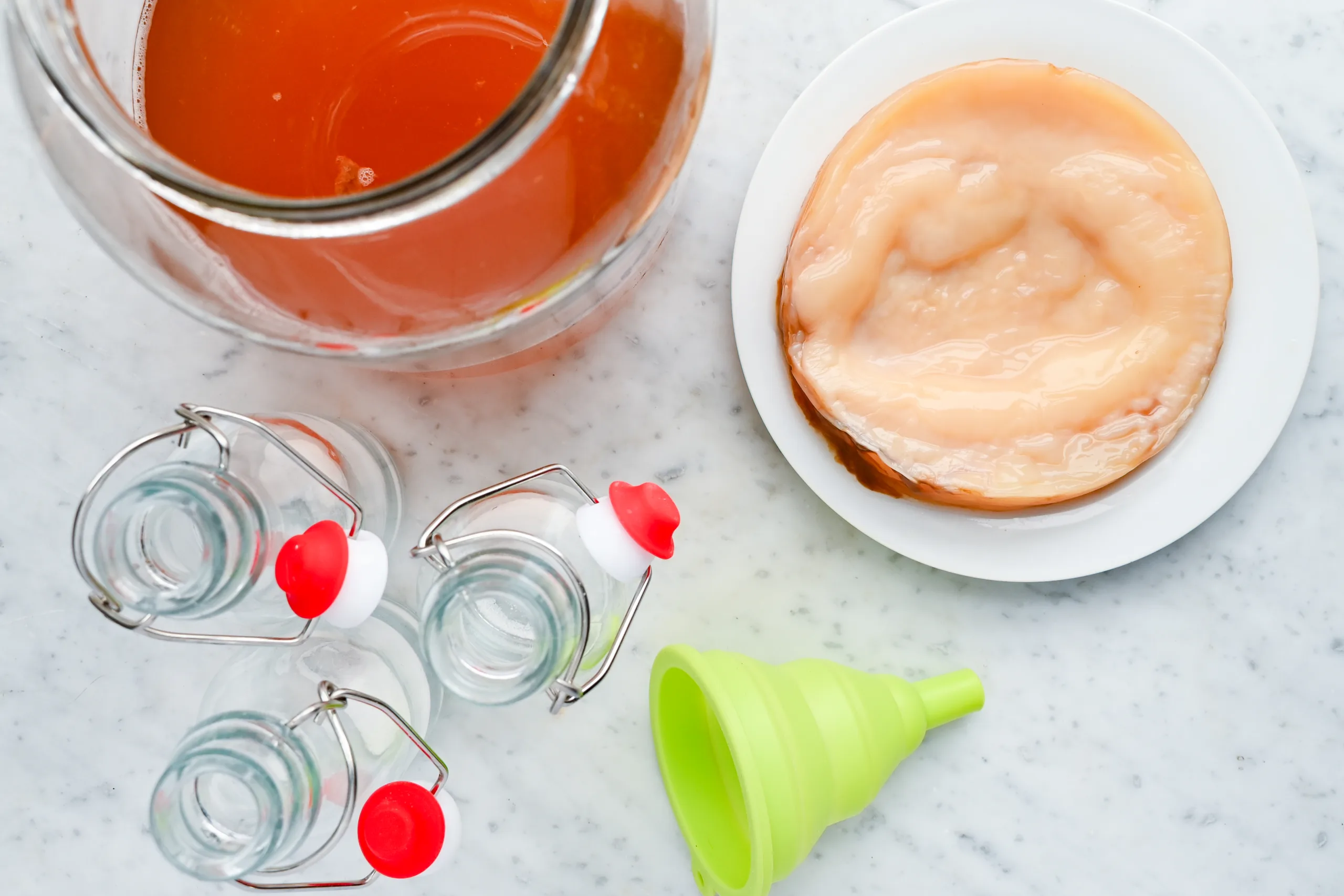 Fresh kombucha scoby resting on a white plate beside a jar of homemade kombucha tea.