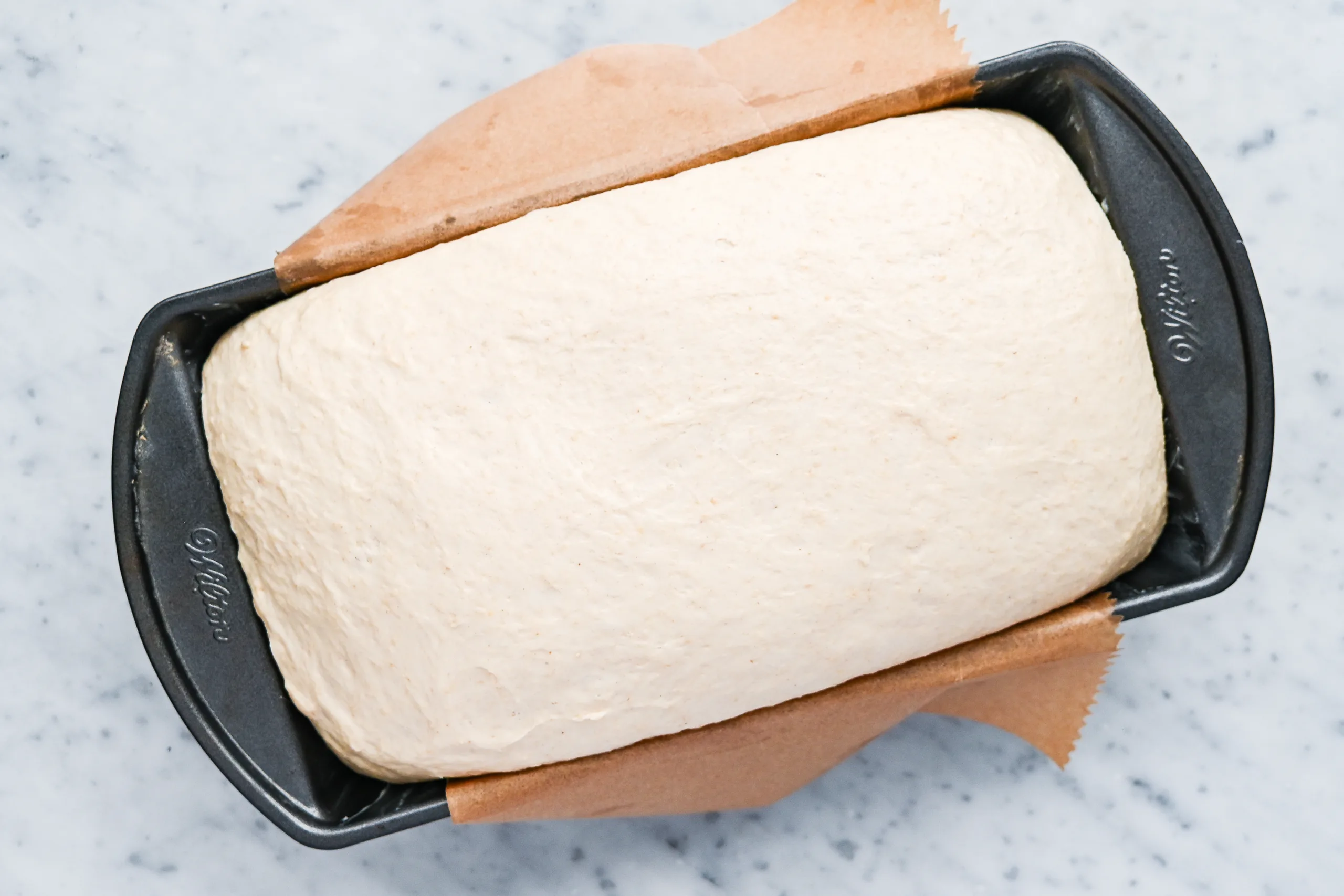 Sourdough discard sandwich bread dough after rising in the loaf pan before baking.
