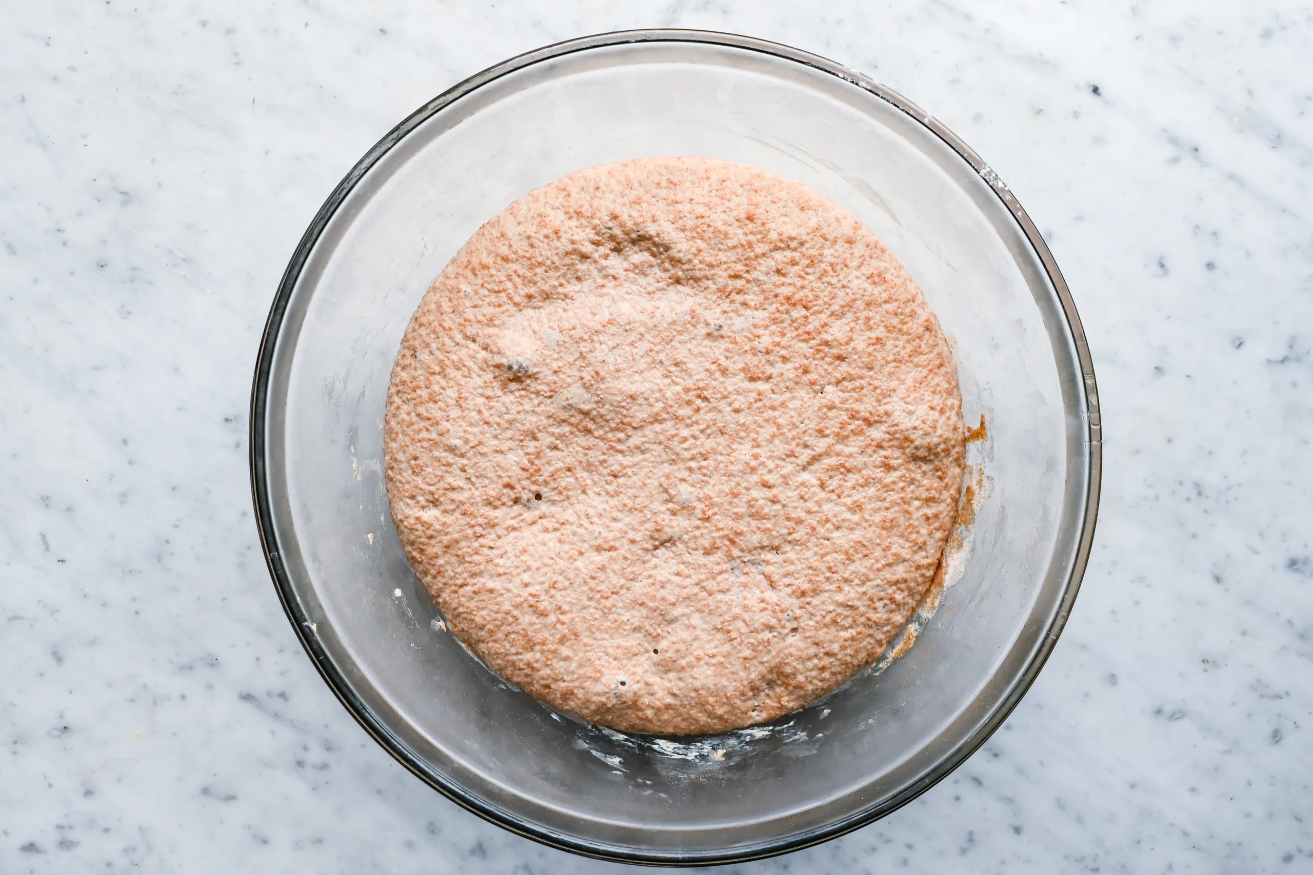 Fresh milled spelt sourdough dough rising in a clear glass bowl on a white marble surface.