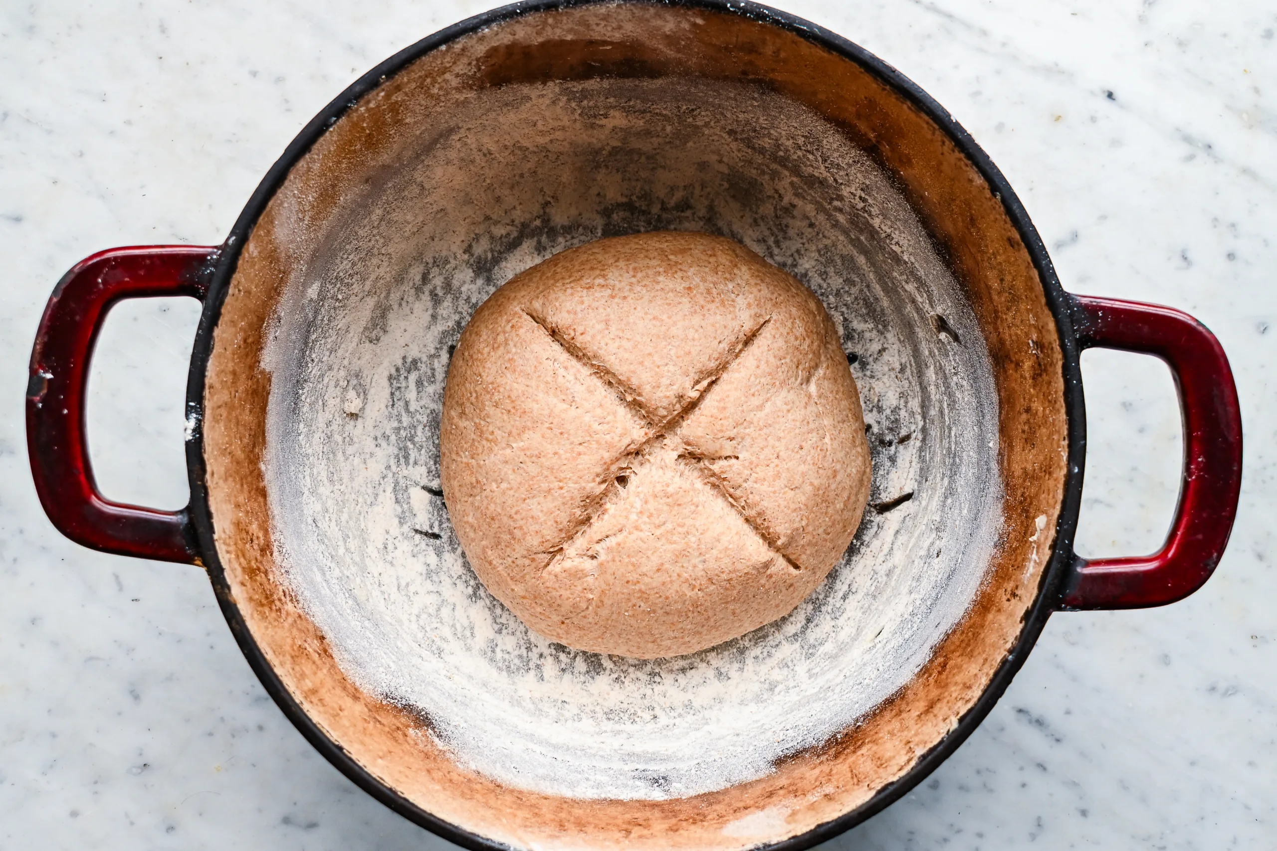 Scored fresh milled spelt sourdough loaf placed inside a floured Dutch oven before baking.
