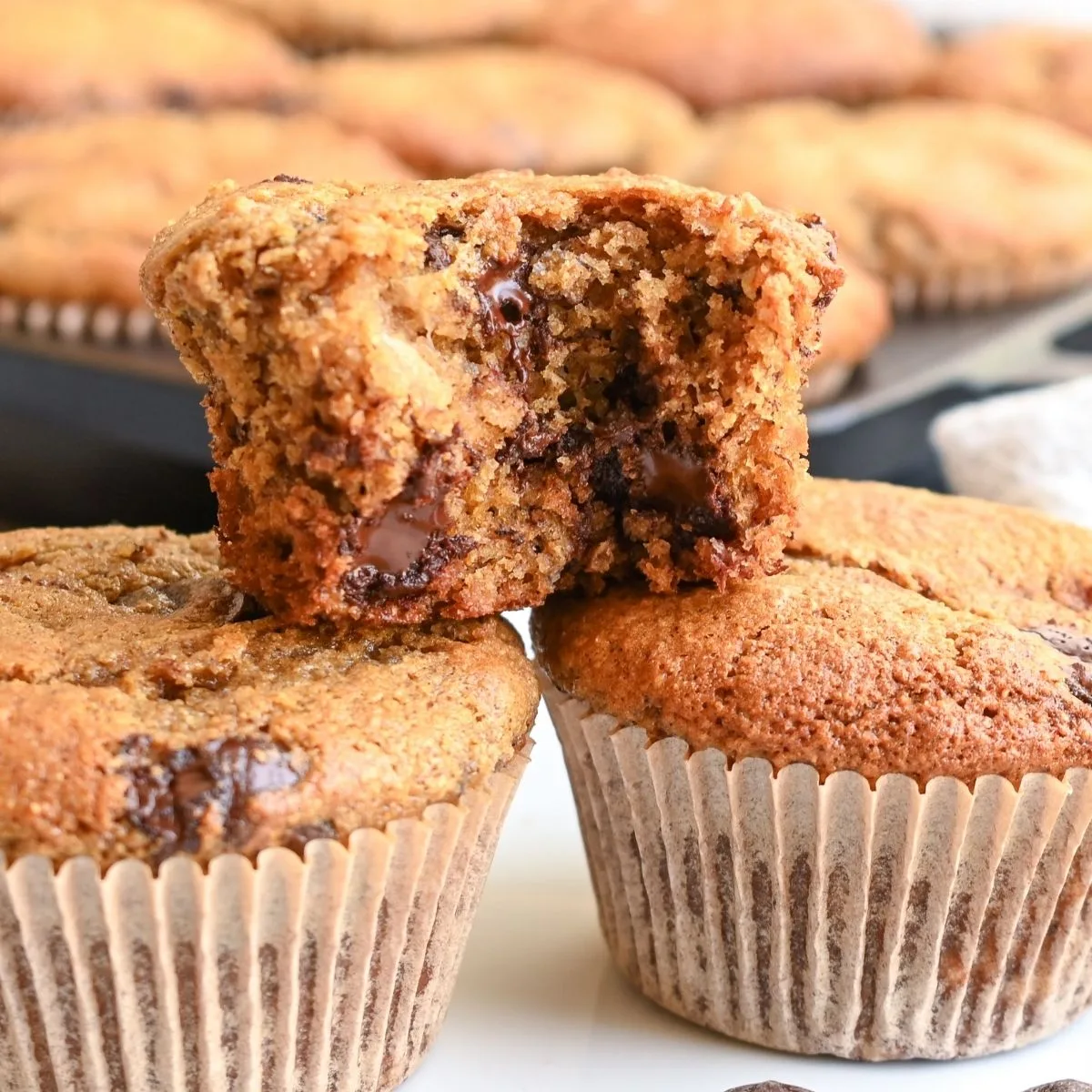 Whole wheat banana chocolate chip muffin broken open to show melted chocolate and a soft, moist center.