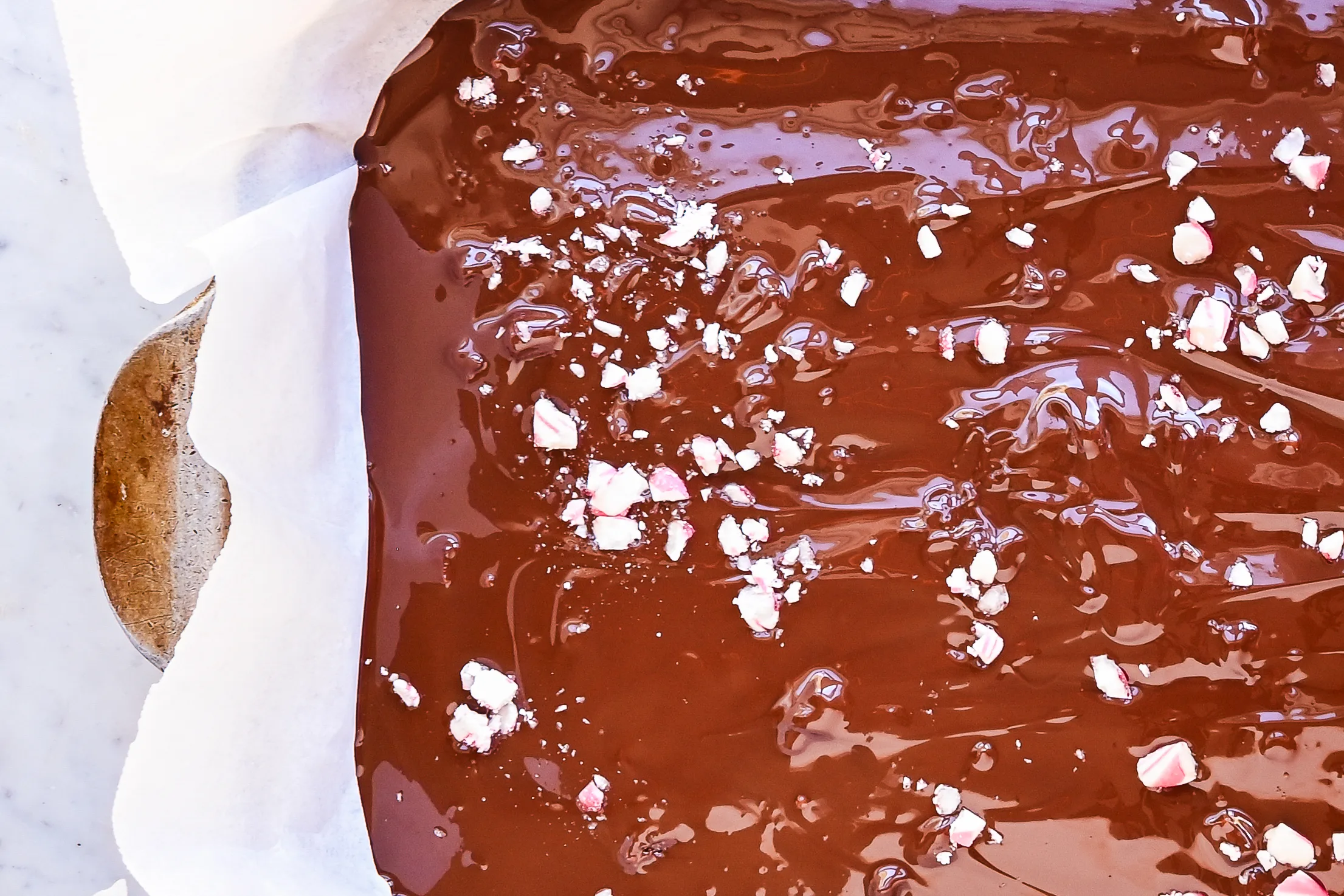 Close-up of melted dark chocolate sprinkled with crushed peppermint candy.